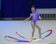 28th Baku Rhythmic Gymnastics Championship kicks off (PHOTO)