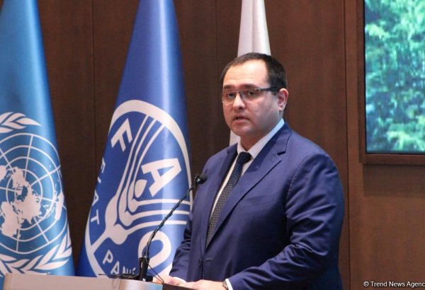 Azerbaijan rolls out land distribution to farmers in liberated territories