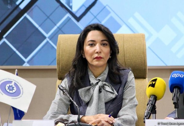 Ombudsperson draws attention to disabled Azerbaijanis in Armenian captivity