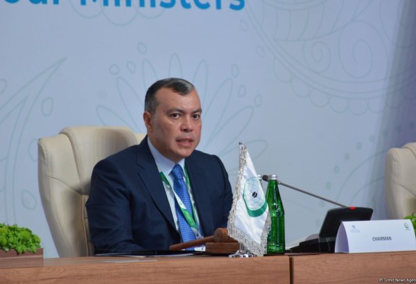 Employment growth observed in liberated territories of Azerbaijan - minister