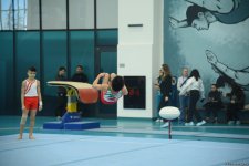 Azerbaijan Championship & Open Baku Championship in men's and women's artistic gymnastics to take place (PHOTO)