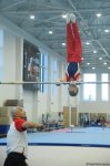 Azerbaijan Championship & Open Baku Championship in men's and women's artistic gymnastics to take place (PHOTO)