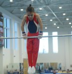 Azerbaijan Championship & Open Baku Championship in men's and women's artistic gymnastics to take place (PHOTO)