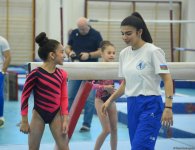 Azerbaijan Championship & Open Baku Championship in men's and women's artistic gymnastics to take place (PHOTO)