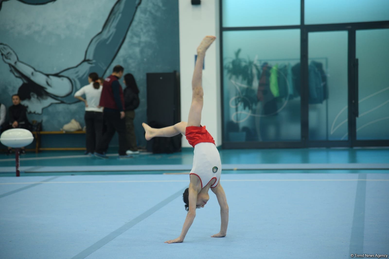 Azerbaijan Championship & Open Baku Championship in men's and women's artistic gymnastics to take place (PHOTO)