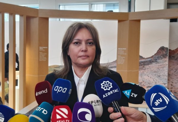 Azerbaijan seeks to develop Caspian Sea's joint environmental monitoring - deputy minister