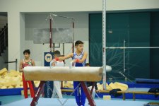 Azerbaijan Championship and Open Baku Championship in gymnastics verges final (PHOTO)
