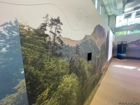 A look at Azerbaijan's pavilion at COP28 UAE (PHOTO)