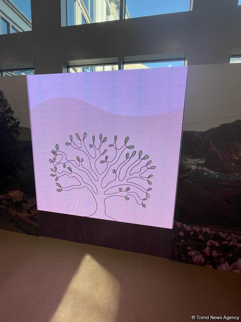 A look at Azerbaijan's pavilion at COP28 UAE (PHOTO)