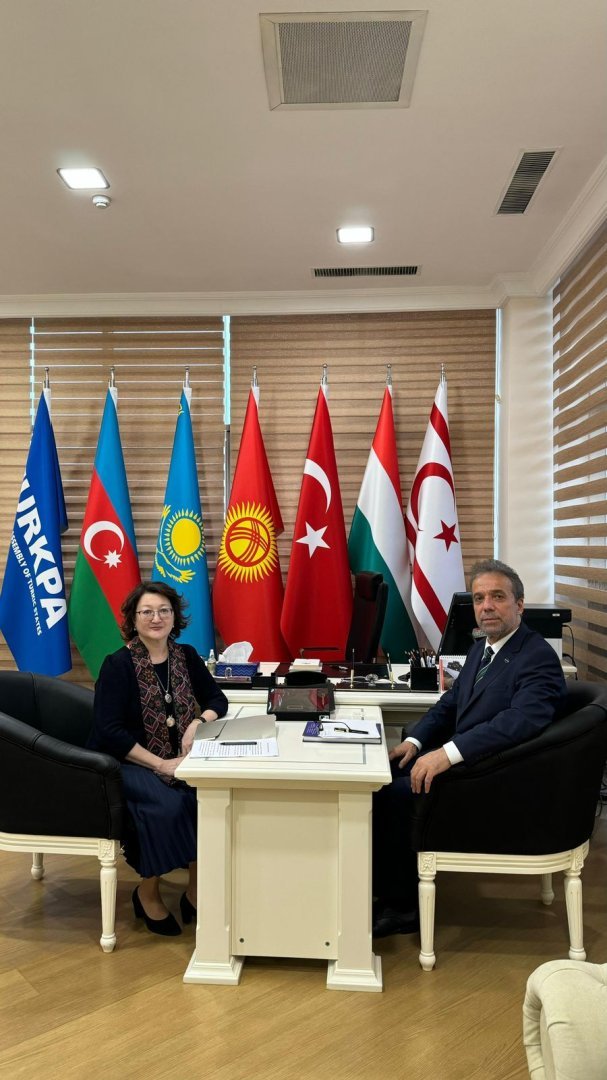 President of Turkic Culture and Heritage Foundation meets with TURKPA Secretary General (PHOTO)