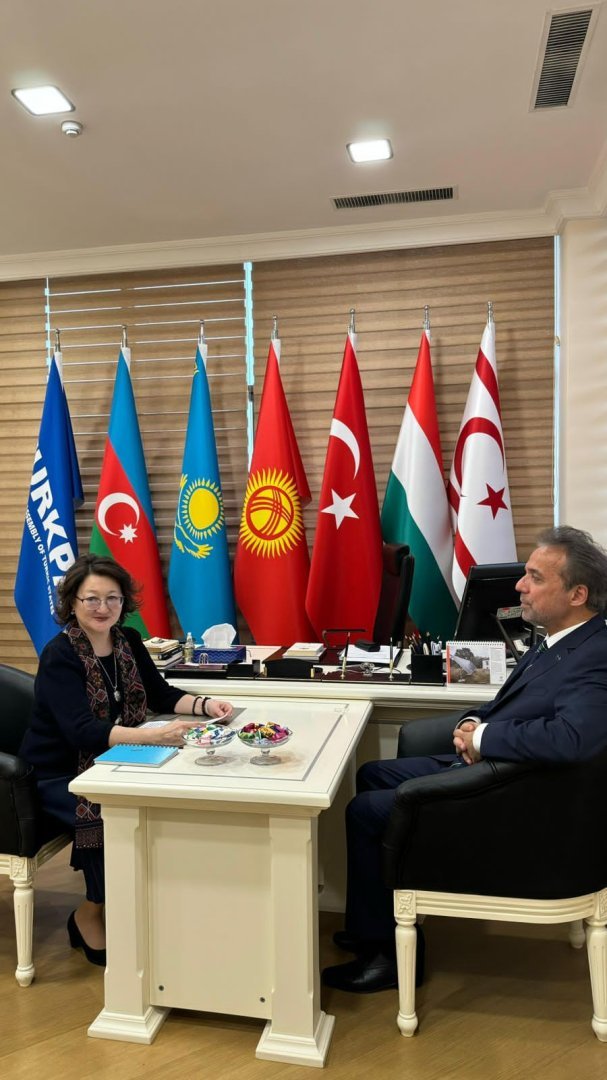 President of Turkic Culture and Heritage Foundation meets with TURKPA Secretary General (PHOTO)