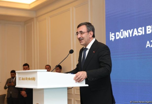 Azerbaijani-Turkish relations - example for other countries, VP says