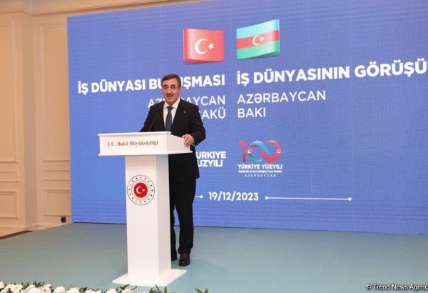 Expanding co-op between countries of S. Caucasus to benefit everyone - Turkish VP