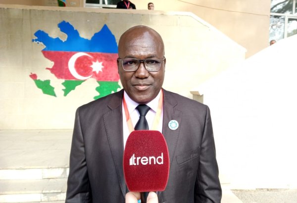 International observers well-informed at Azerbaijan's presidential election - IPC member