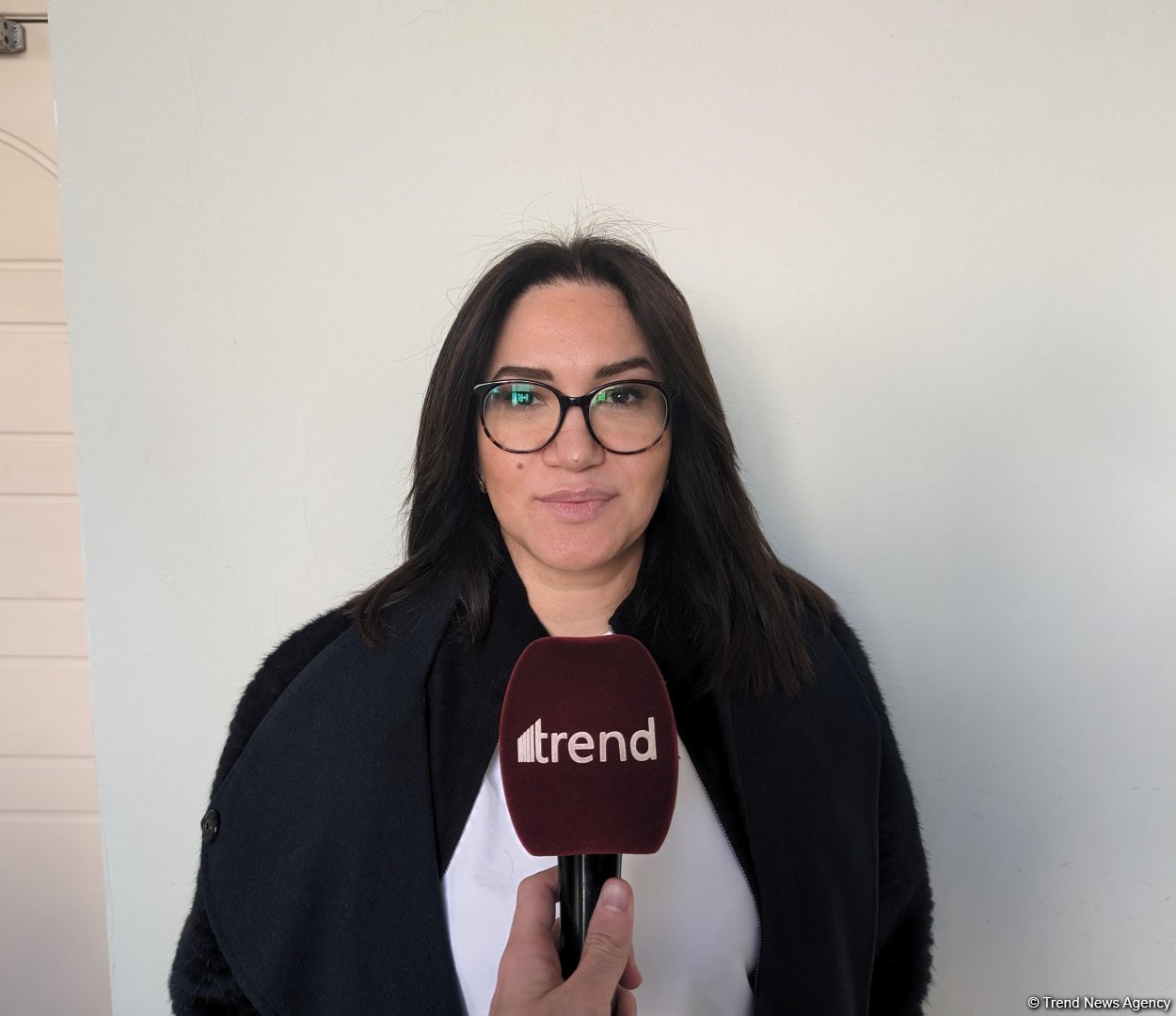 Azerbaijan's snap presidential election to have big impact on nation's future - voter