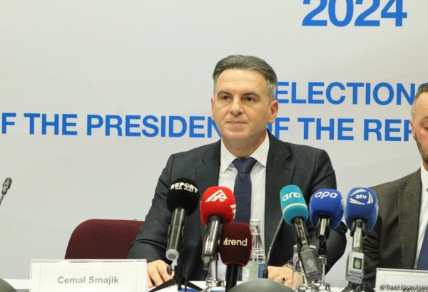 Azerbaijani presidential poll conformed to set norms - Bosnia and Herzegovinian MP