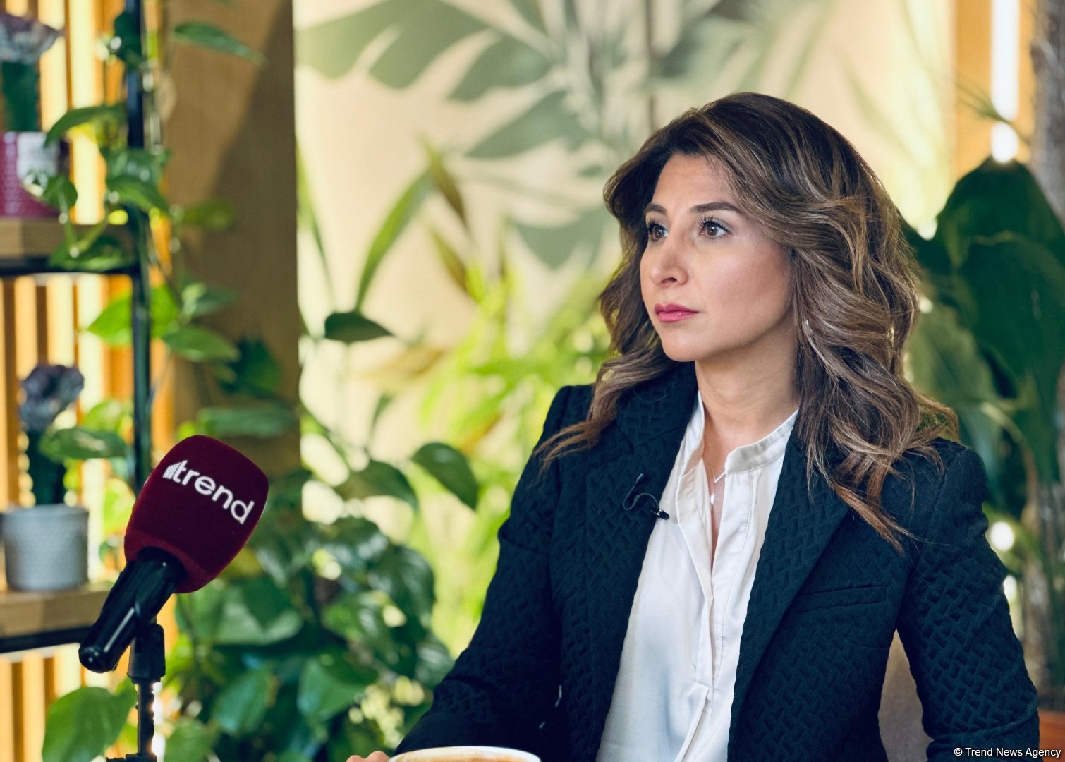 COP29 in Azerbaijan highlights our commitment to environmental protection and climate action - PwC senior manager (PHOTO/VIDEO)