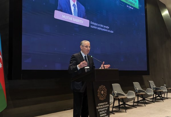 COP29 in Azerbaijan focuses on climate finance - acting ecology minister