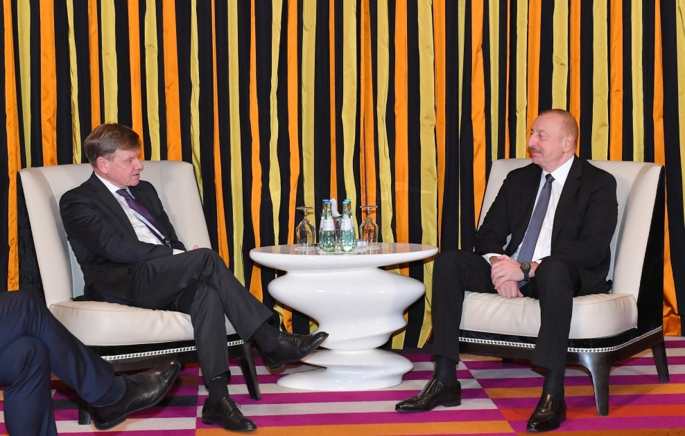 President Ilham Aliyev meets with Deputy Chairman of CDU/CSU parliamentary group of German Bundestag (PHOTO/VIDEO)