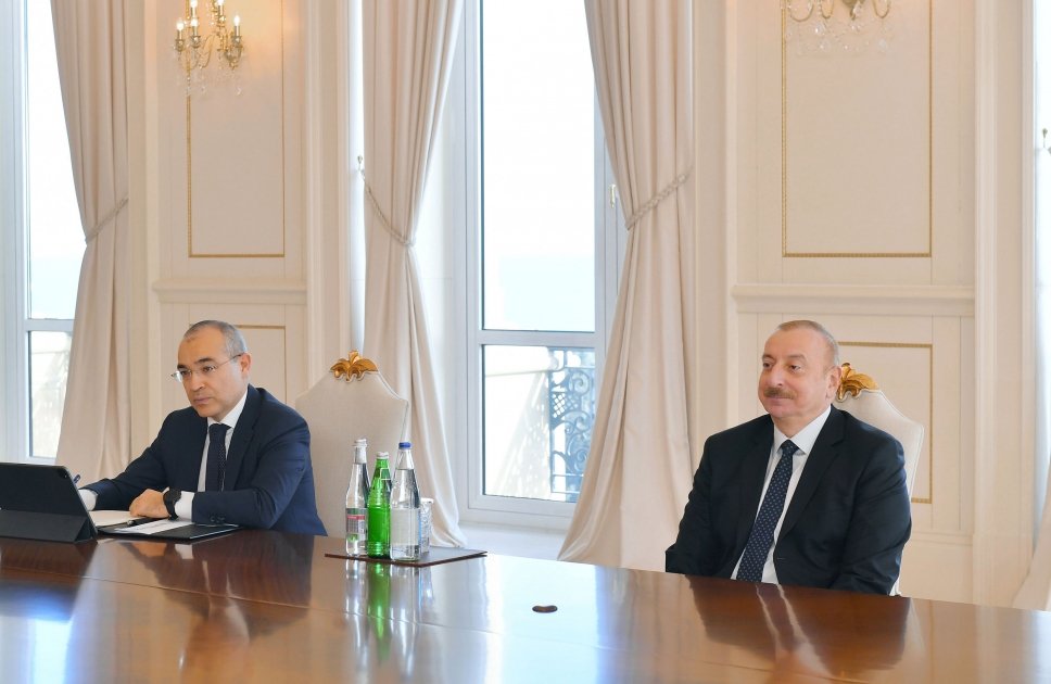President Ilham Aliyev receives delegation led by Executive Director of German Eastern Business Association (PHOTO/VIDEO)