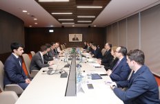 Azerbaijan and Brazil discuss COP29-framed green finance co-op (PHOTO)