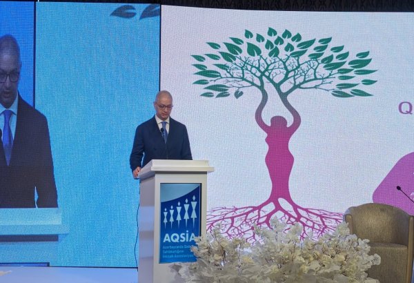 Azerbaijan engages substantial number of women in workforce - official