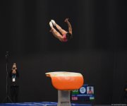 First day of FIG Artistic Gymnastics Apparatus World Cup kicks off in Baku (PHOTO)