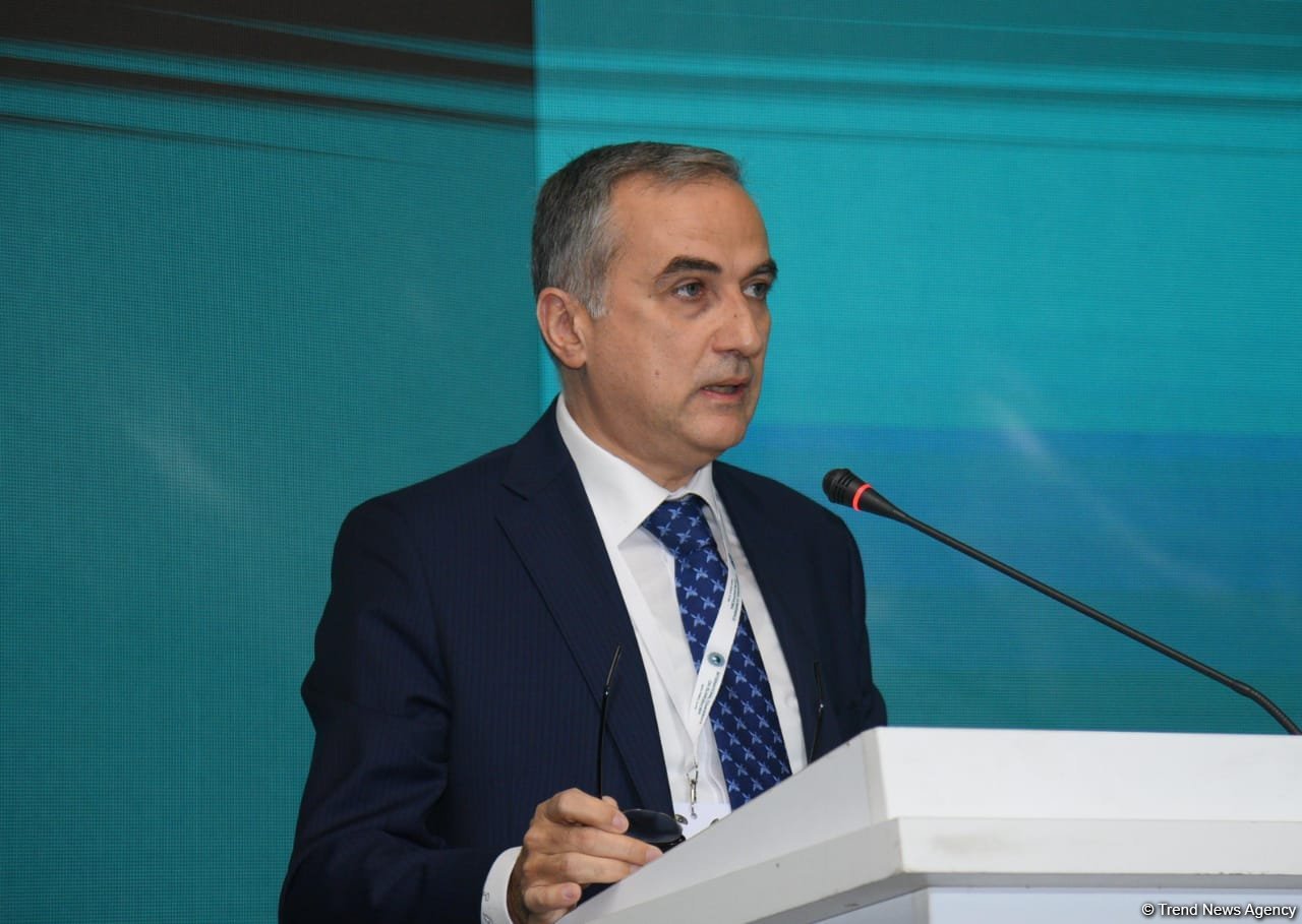 Political and international steps necessary to eliminate Islamophobia - official