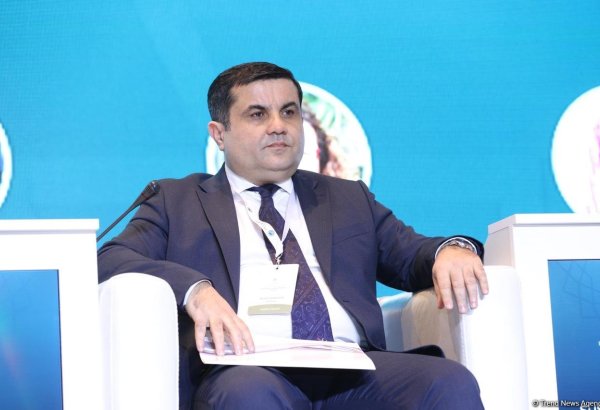 In many Western societies, Muslim women subjected to religious discrimination - Azerbaijani Ombudsman's Office