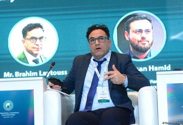 Tiny percentage of Muslims elect to European Parliament - CEO of European Academy