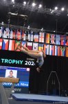 Baku hosts final day of FIG World Cup competitions in artistic gymnastics (PHOTO)