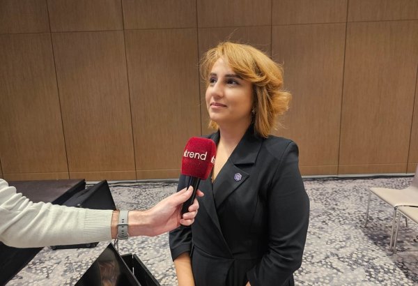 Azerbaijan's national AI strategy nears approval (Exclusive)