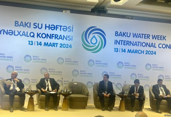 Azerbaijan heavily relies on cross-border rivers for water supplies - State Agency advisor