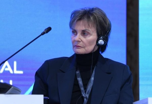 UN Security Council lacks ability to resolve conflicts - former president of Switzerland