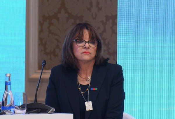 France demonstrates toxic lobbying against Azerbaijan - French senator
