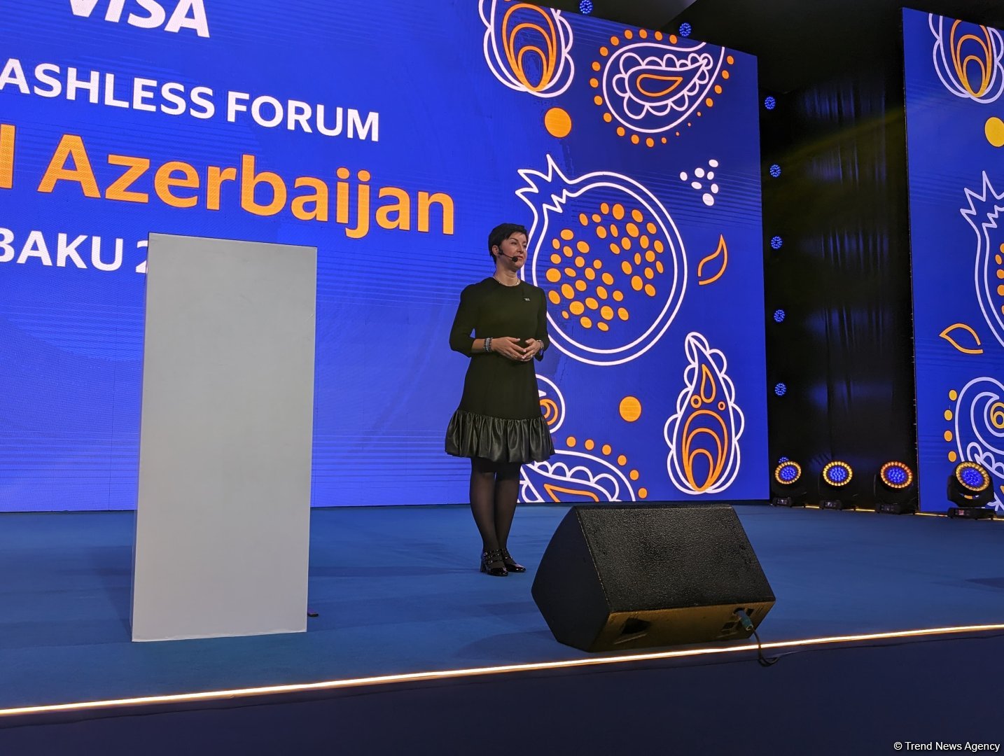 Visa sees strategic partner in Azerbaijan - senior vice president