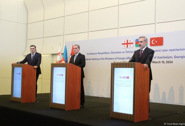 Georgian FM announces next meeting venue with his Azerbaijani, Turkish counterparts