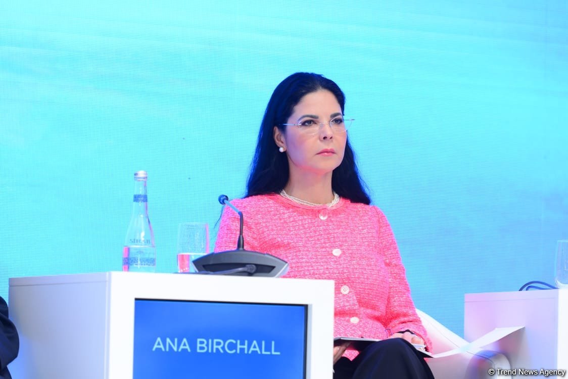 Azerbaijan saves EU from energy crisis - former Deputy PM of Romania