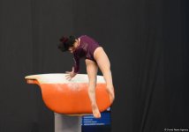 Azerbaijani gymnasts compete for medals on AGF Trophy final day in Baku (PHOTO)