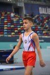 Azerbaijani gymnasts compete for medals on AGF Trophy final day in Baku (PHOTO)