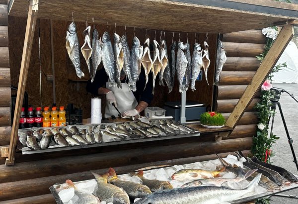 Azerbaijan's Lachin hosts festive fair dedicated to Novruz (PHOTO)