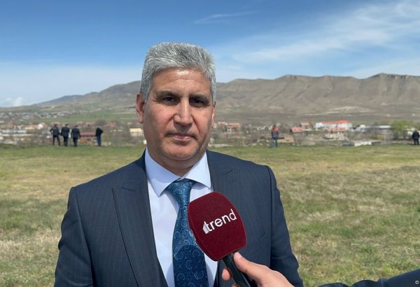 Number of mass graves discovered in liberated territories of Azerbaijan revealed