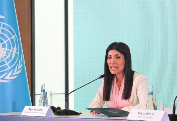 COP29 decisions in Baku to affect many countries - UN climate change high-level champion