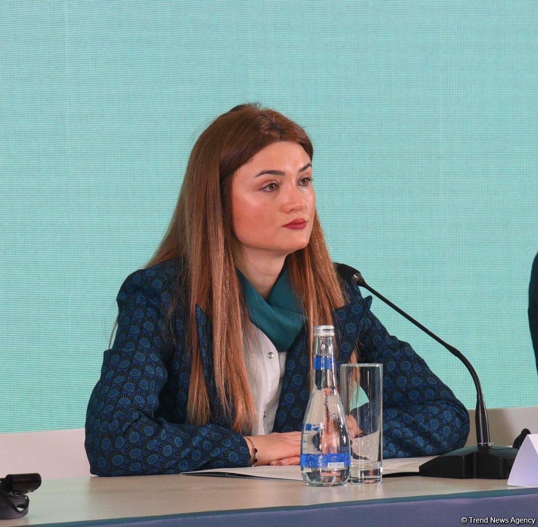 Baku hosts COP29 press conference (PHOTO)