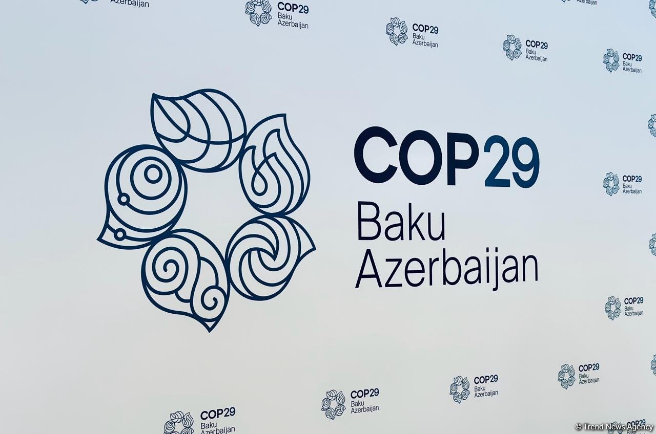 US State Department, IEA laud vital role of COP29 in Azerbaijan