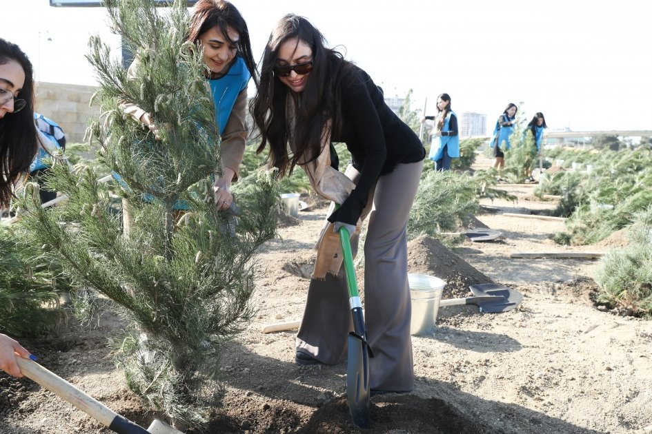 Tree planting action passes in Nizami district of Baku with participation of Vice President of Heydar Aliyev Foundation Leyla Aliyeva (PHOTO)