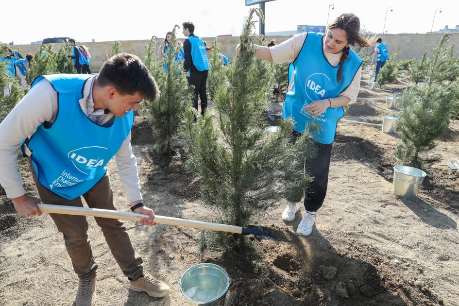 Tree planting action passes in Nizami district of Baku with participation of Vice President of Heydar Aliyev Foundation Leyla Aliyeva (PHOTO)