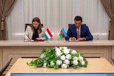 Meeting topics between Azerbaijani, Hungarian working groups on energy unveiled (PHOTO)