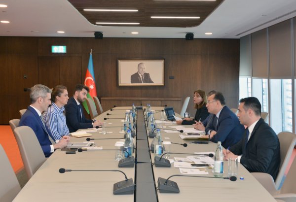 Azerbaijani economy ministry and UK export finance moot possible areas of cooperation (PHOTO)