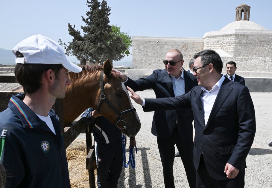 President Ilham Aliyev presents Karabakh horse to President Sadyr Zhaparov (PHOTO)